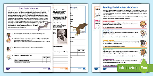 * NEW * SATs Survival Year 6: Reading Revision Activity Mat Pack 5