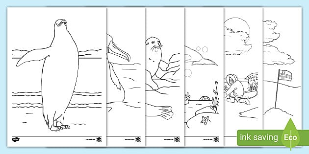 Antarctica Colouring Pages (teacher made) - Twinkl