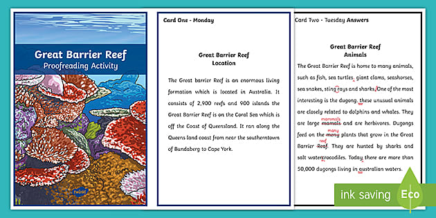 great barrier reef essay