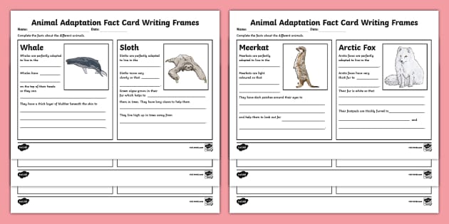 Animal Adaptations for Kids  Twinkl Teaching Wiki - Twinkl