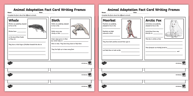 Animal Adaptation Fact Writing Sheets (teacher made)