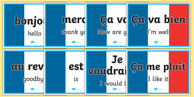 Basic French Vocabulary Word Posters