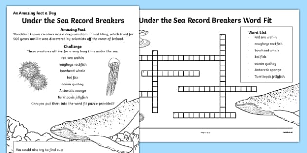 Under the Sea Record Breakers Worksheet / Worksheet, worksheet
