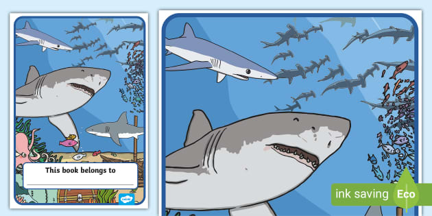 FREE! - Shark Themed Book Cover (teacher made) - Twinkl