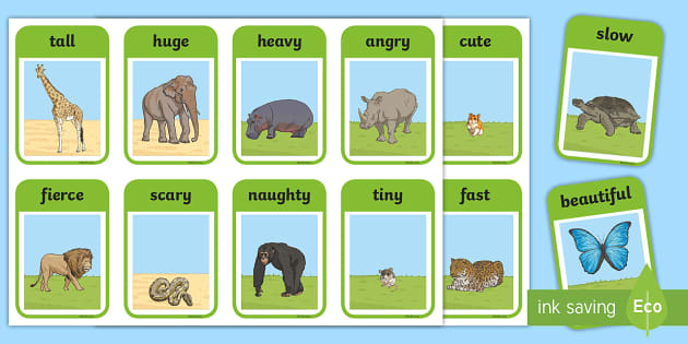 Zoo Animals Adjectives Flashcards - (teacher made) - Twinkl