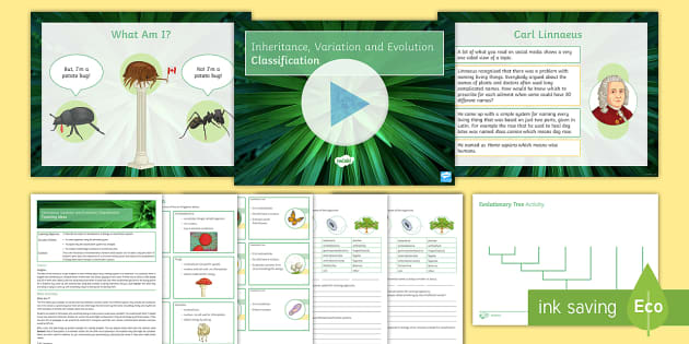 aqa-inheritance-variation-and-evolution-lesson-15-classification