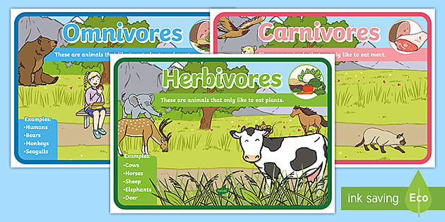 Identifying Herbivores, Carnivores and Omnivores - Twinkl