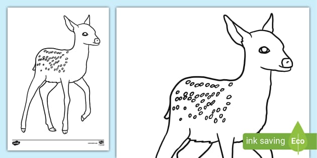fawn coloring pages