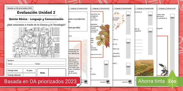 Evaluación Unidad 4 5to Básico Lenguaje Comunicación