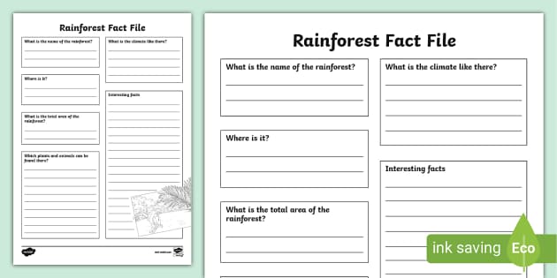 Rainforest Fact File Template (teacher made)