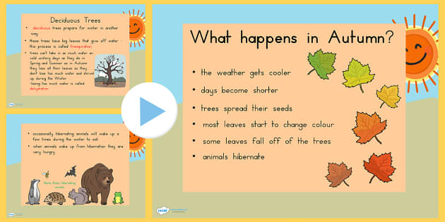 what-is-winter-facts-definition-and-resources-for-kids