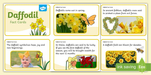 Original Bookmark for Reader Representing a Daffodil Flower 