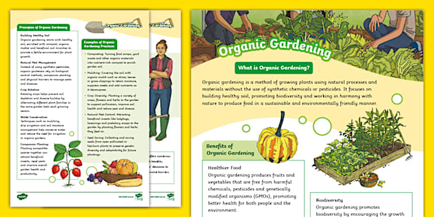 Organic Gardening Fact File (stem) (teacher Made) - Twinkl