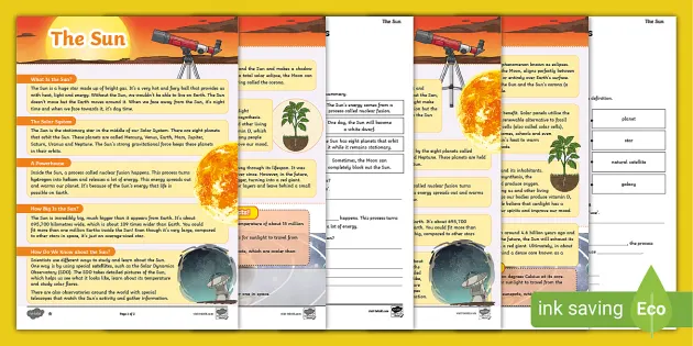 Comprehension　Reading　Primary　Resources　Year　Worksheets