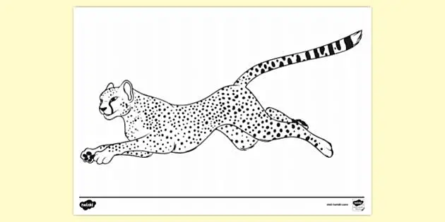 FREE! - Realistic Cheetah Colouring Page | Colouring Sheets