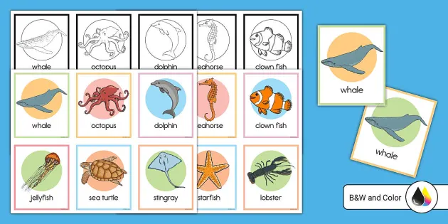 Ocean Animal Matching Game, Pre-Kindergarten