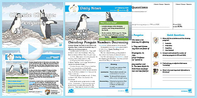 LKS2 Climate Change Affects Penguins Daily News Resource Pack