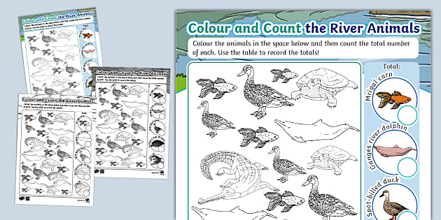 How Many Animals were Going to the River Puzzle: Solve This Brain Teaser!