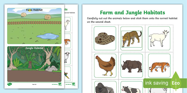 Hot Animal Jungle Sex - Farm and Jungle Habitats Animal Sorting Activity Sheet