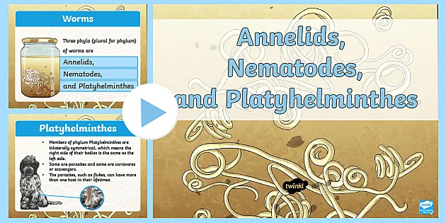 cpting platyhelminthes ppt