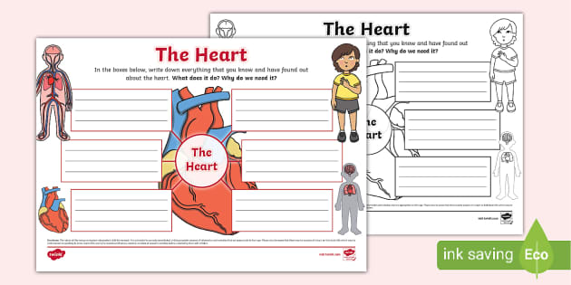 Heart Mind Map | Heart KS1 | Science Resources KS1 - Twinkl