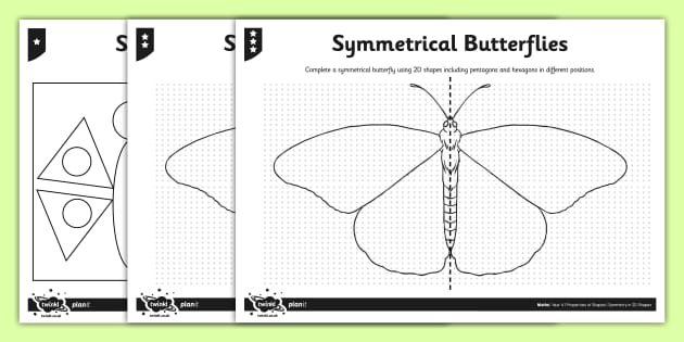 Symmetry - Symmetrical Butterflies Maths Differentiated Worksheet