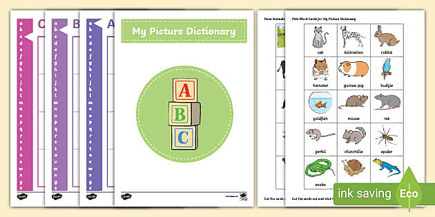 My Picture Dictionary Pack (Teacher-Made) - Twinkl