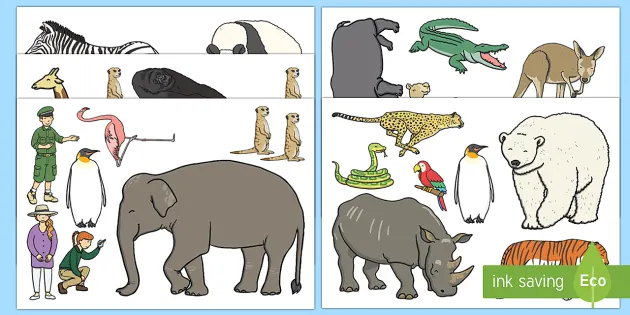 zoo themed cut outs teacher made