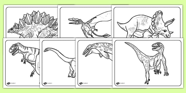 Free Realistic Dinosaurs Colouring Pages Teacher Made