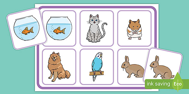 Pets Matching Cards And Board (Lehrer Gemacht) - Twinkl