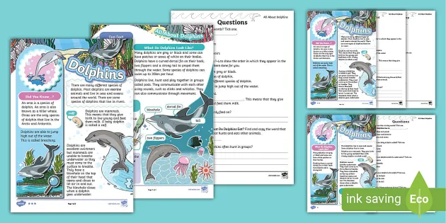 Dolphin Habitats: Lesson for Kids - Video & Lesson Transcript