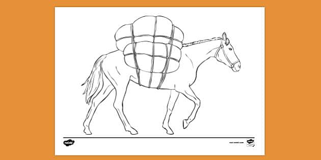 PRINTABLE set of 10 Horse Breed coloring pages 2 Digital -  Portugal