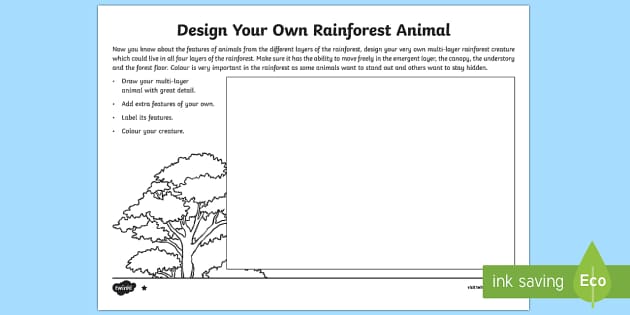 Rainforest Worksheet | Drawing | Craft | Parents - Twinkl