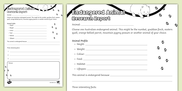 Australian Endangered Animal Research Report - Twinkl