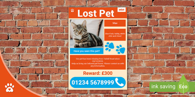 Missing Pet Poster Template - Editable Missing Pet Poster
