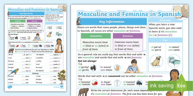in spanish is homework masculine or feminine