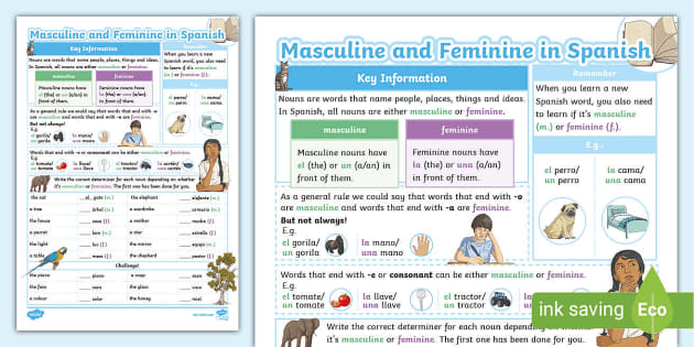 Masculine And Feminine Gender Worksheets Twinkl Usa