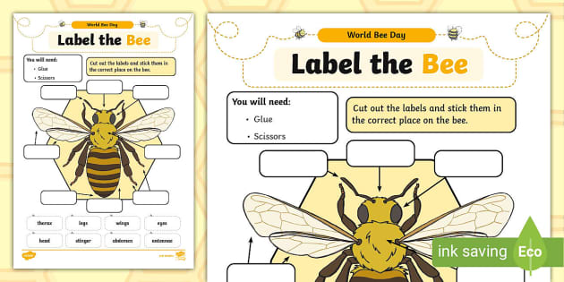 Label A Bee Activity Sheet (teacher made) - Twinkl