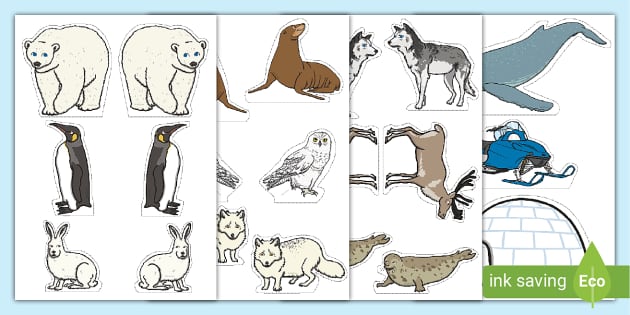 Arctic Animals Activities - Planning Playtime  Winter animals preschool,  Arctic animals activities, Winter activities preschool