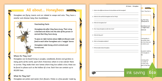 Honeybee Reading Comprehension