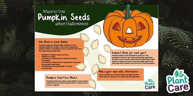 Ways To Use Pumpkin Seeds After Halloween Autumn Plantcare