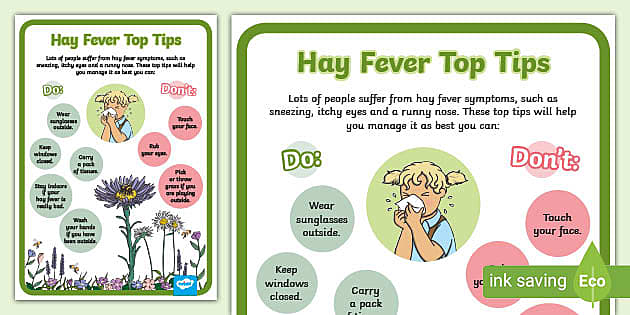 Hay Fever Information Poster (teacher made) Twinkl