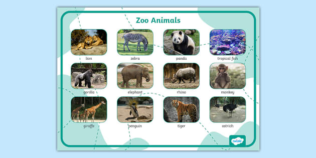 Zoo Animals Photo Word Mat (teacher made) - Twinkl