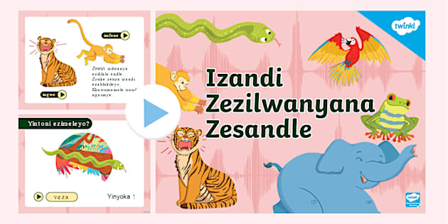 Izilwanyana Zasendle Izandi PowerPoint (teacher made)