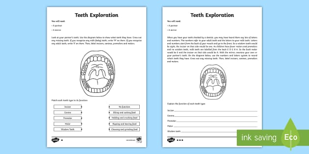 free teeth and eating year 3 worksheets primary resource