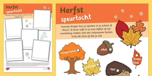 FREE! - Herfst Speurtocht (Lehrer Gemacht) - Twinkl