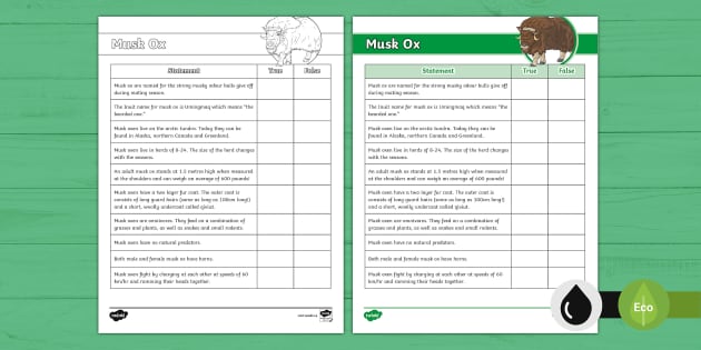 Musk Ox True Or False Activity (teacher Made) - Twinkl