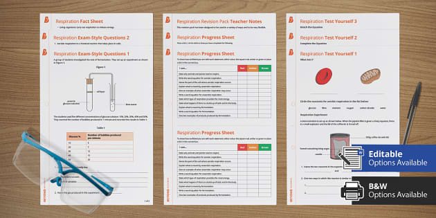 respiration experiment ks3