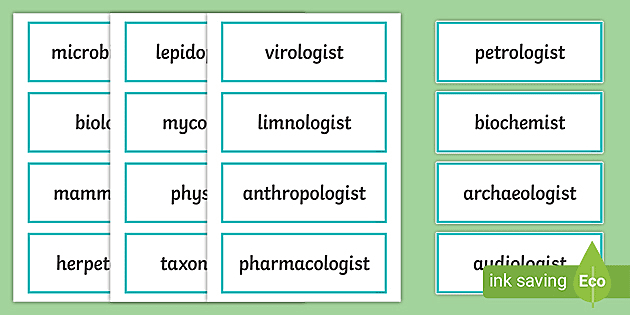 Types of Scientists Word Wall (teacher made) - Twinkl