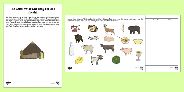 The Celts KS2 for kids - History homework help at Super Brainy Beans